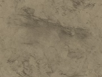 Light Gray Textured Paint Wall Coating texture (ID:ffaeh296866)