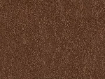 Coarse-grain leather texture (ID:ffabg48695)
