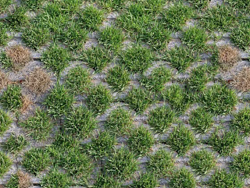 Outdoor ground grass planting brick lawn brick permeable brick parking space paving texture (ID:ffaeh410464)