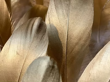 three-dimensional physical painting texture (ID:ffaeg92327)