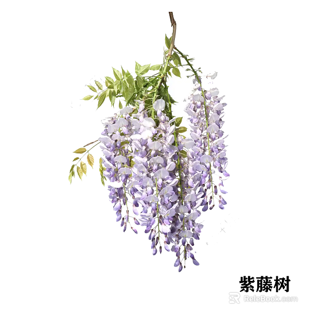 Lavender wisteria flower decorative floral texture