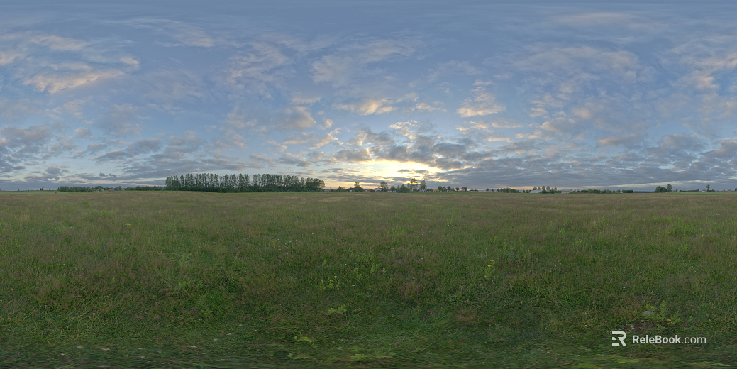 Wild Scenery texture