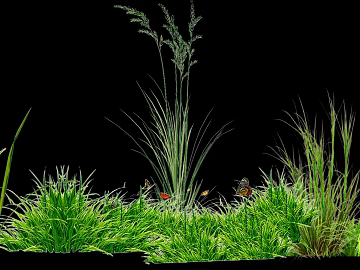 Green Weed Grove Outdoor Landscape texture (ID:ffaeh238132)