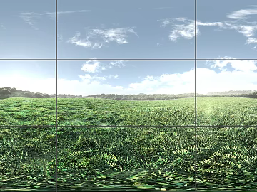 Wild Scenery texture (ID:ffajf5423)