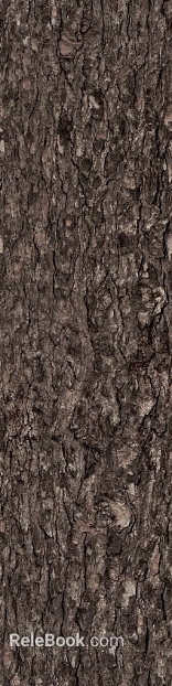 bark texture