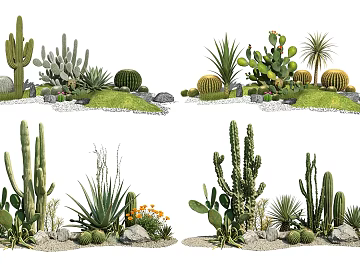 green tropical desert plant landscaping texture (ID:ffaeh134636)