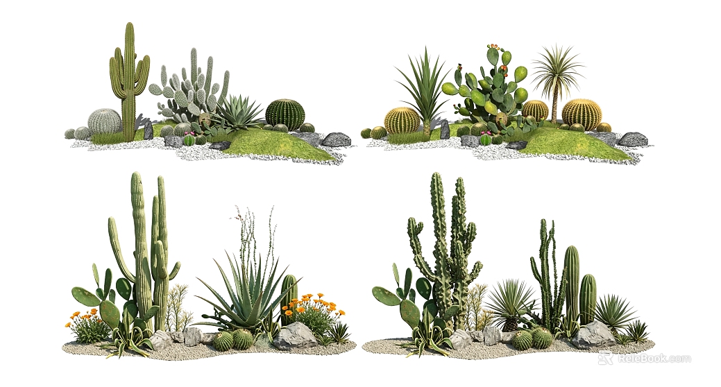 green tropical desert plant landscaping texture