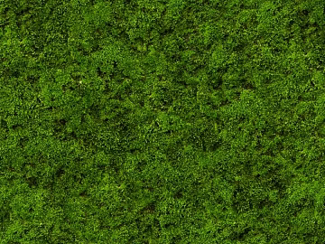 Plants texture (ID:ffacg58144)