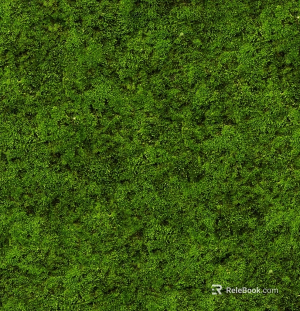 Plants texture