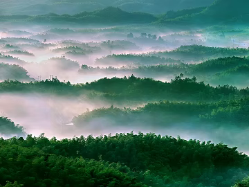 Wild Scenery texture (ID:ffajg92533)