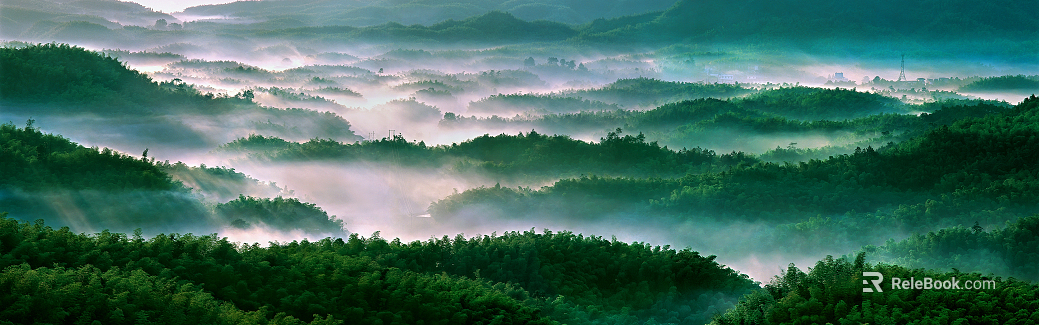 Wild Scenery texture