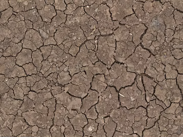 Mud ground texture (ID:ffabf2031)