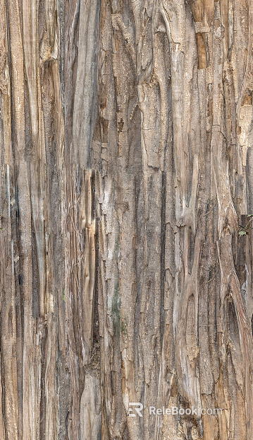 bark texture