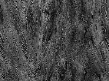 Black and White Bump texture (ID:ffagg63312)