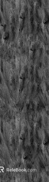 Black and White Bump texture