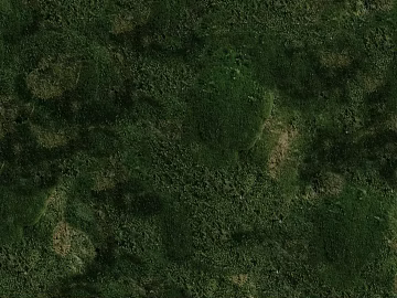 Grassland texture (ID:ffaag59717)