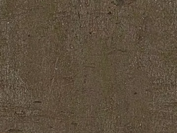 bark texture (ID:ffach317956)