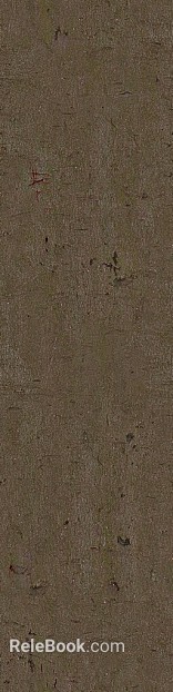 bark texture