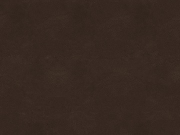 fine grain leather texture (ID:ffacg80159)