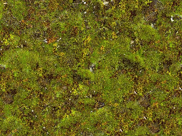 moss texture (ID:ffagg21710)