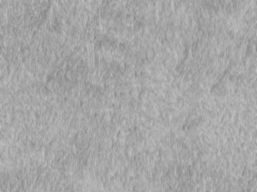 Light Gray Textured Paint Wall Coating texture (ID:ffaeh541571)