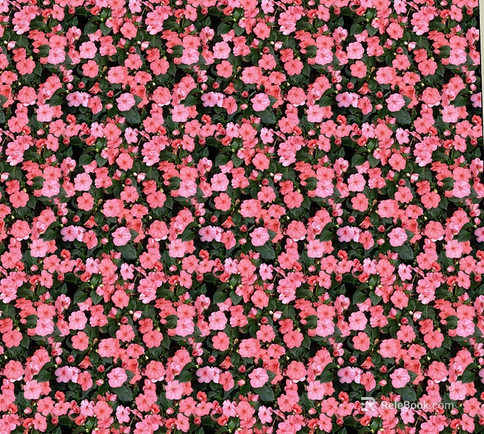 Pink pink flowers plant background decoration texture
