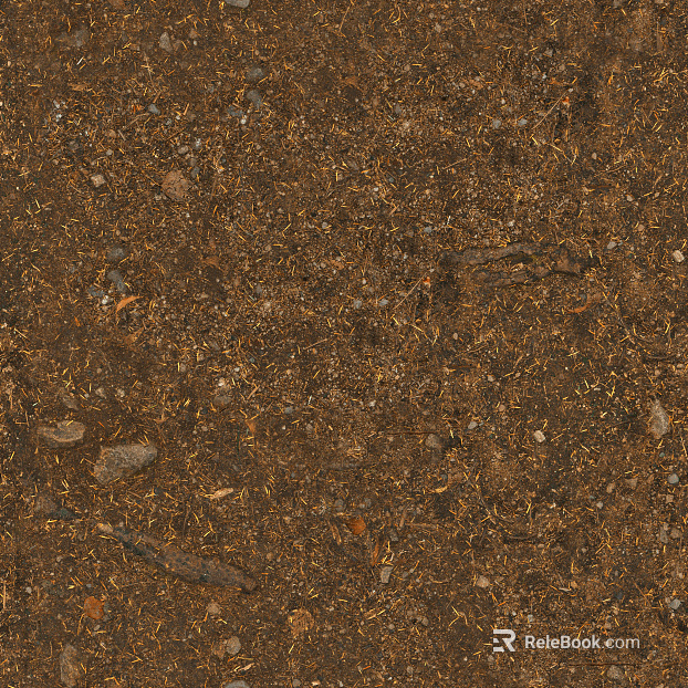 Sand texture