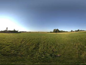 outdoor grass texture (ID:ffach899815)