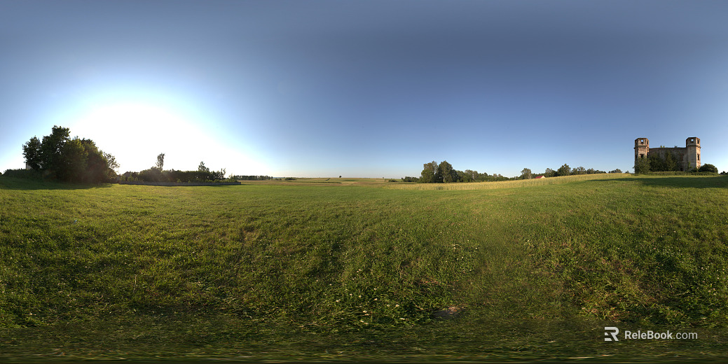 outdoor grass texture