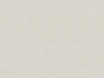 fine grain leather texture (ID:ffach748636)