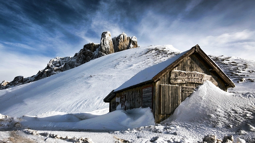 Wild Scenery texture
