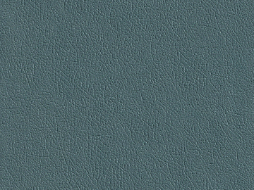 Coarse-grain leather texture (ID:ffaeg04622)