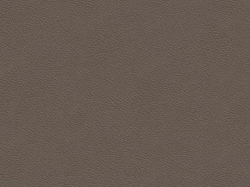 fine grain leather texture (ID:ffabg02570)