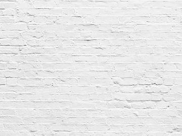 Culture Stone White Culture Brick Wallpaper texture (ID:ffaag94898)
