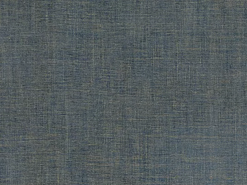 Denim texture (ID:ffajg28339)