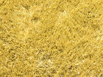 Turf texture (ID:ffabg92006)