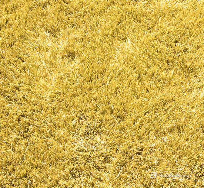 Turf texture