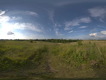 Field texture (ID:ffach342710)