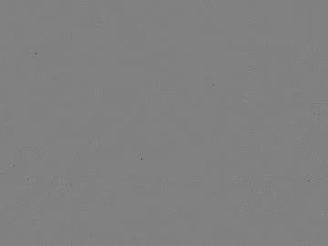 Cement texture (ID:ffaeg47403)
