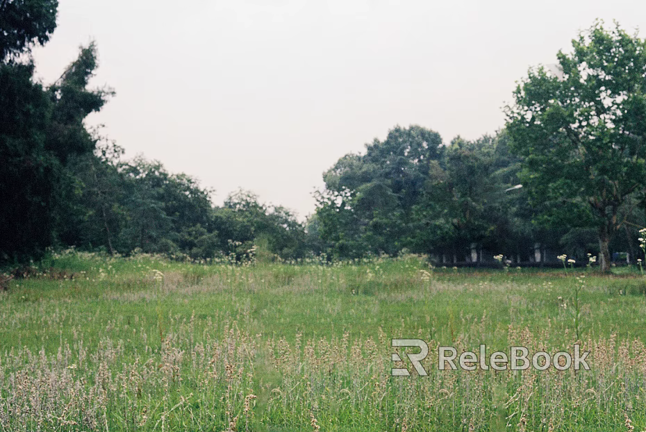 Wild Scenery texture