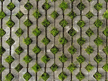 grass-planting brick texture (ID:ffach805638)