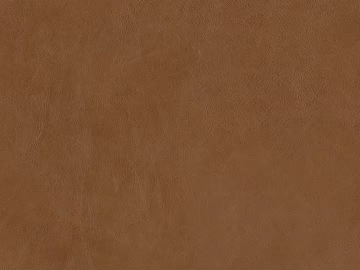 fine grain leather texture (ID:ffaeg74489)