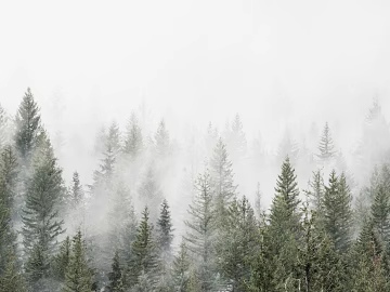 Wild Scenery texture (ID:ffaag09273)