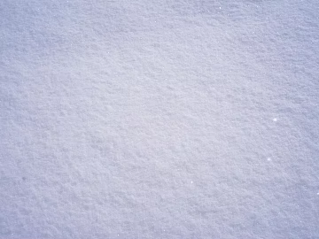 Snow 3d model