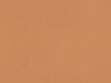 fine grain leather texture (ID:ffach831631)