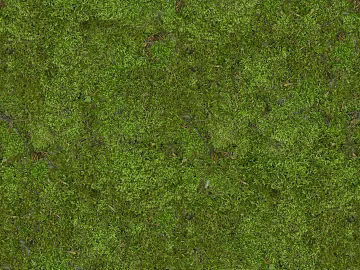 Turf texture (ID:ffabg79494)