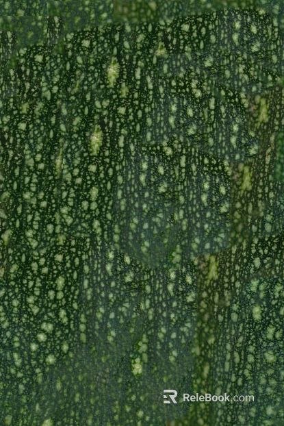bark texture