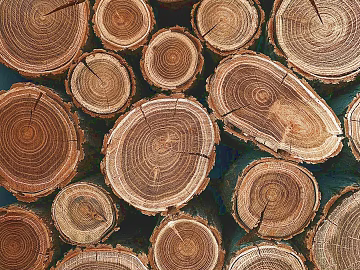 Log Color Wood Annual Rings Decorative Background texture (ID:ffaeh269489)
