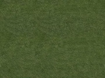 Turf texture (ID:ffach231186)
