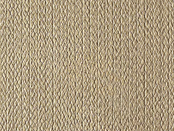 Stripes 3d model